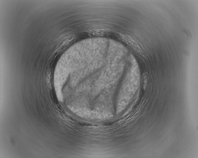 X0000115551060200912041027