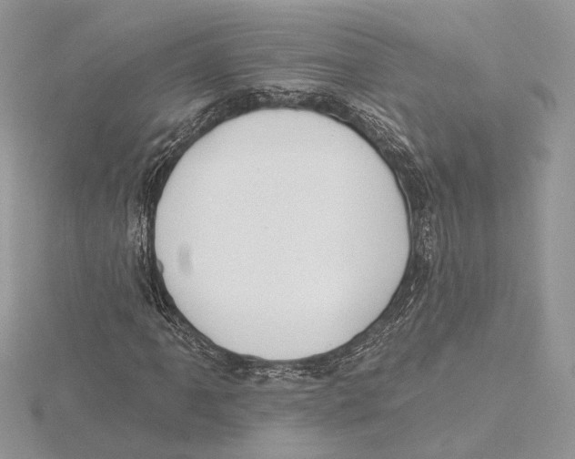 X0000115551061200912041027