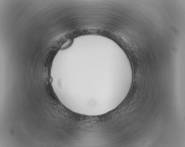 X0000115551062200912041027