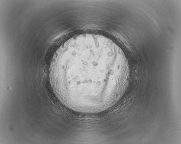 X0000115551063200912041027