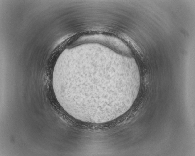 X0000115551064200912041027