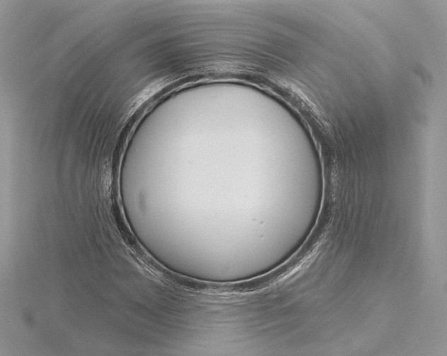 X0000115551065200912041027