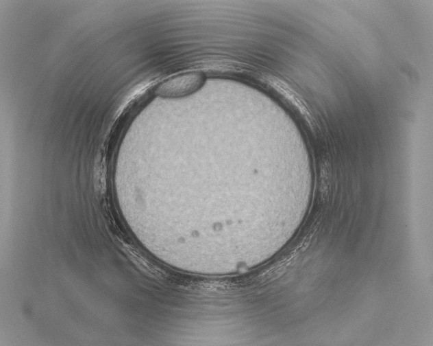 X0000115551067200912041027