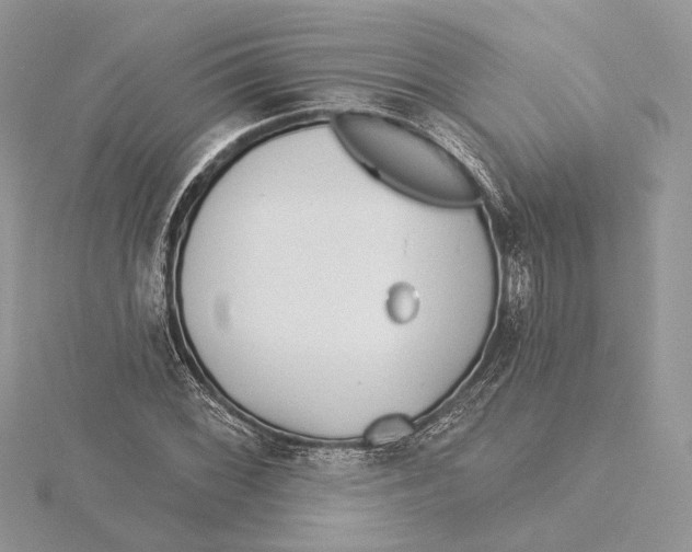 X0000115551068200912041027