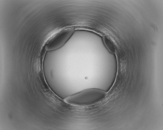 X0000115551069200912041027