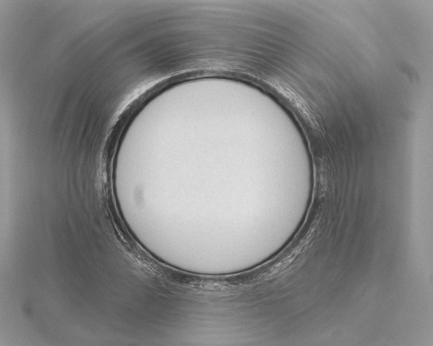 X0000115551070200912041027