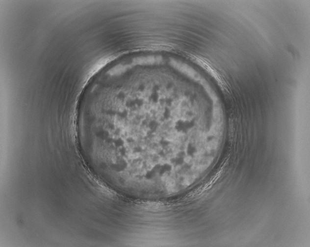 X0000115551071200912041027