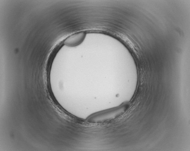 X0000115551072200912041027