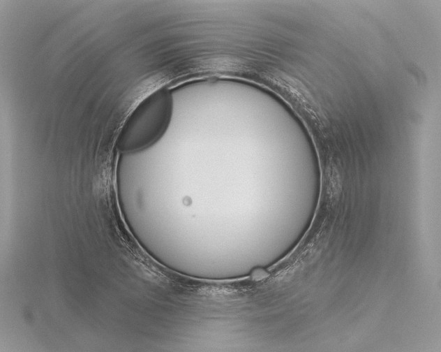 X0000115551073200912041027