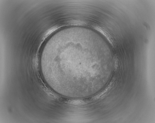 X0000115551074200912041027