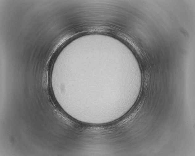 X0000115551075200912041027