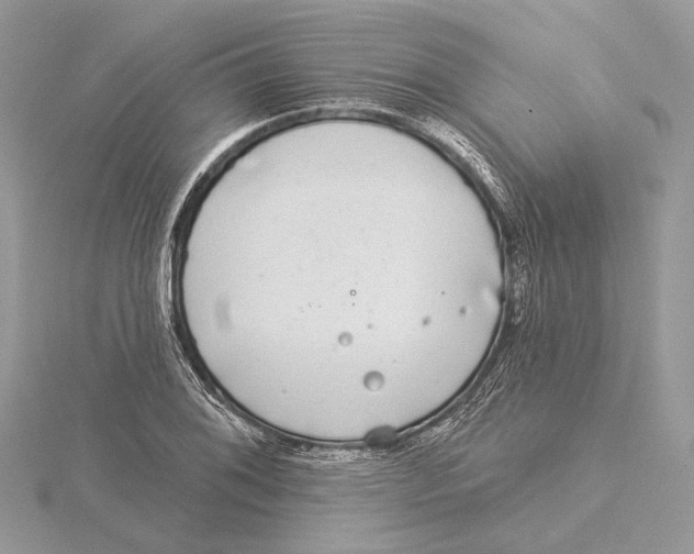 X0000115551076200912041027