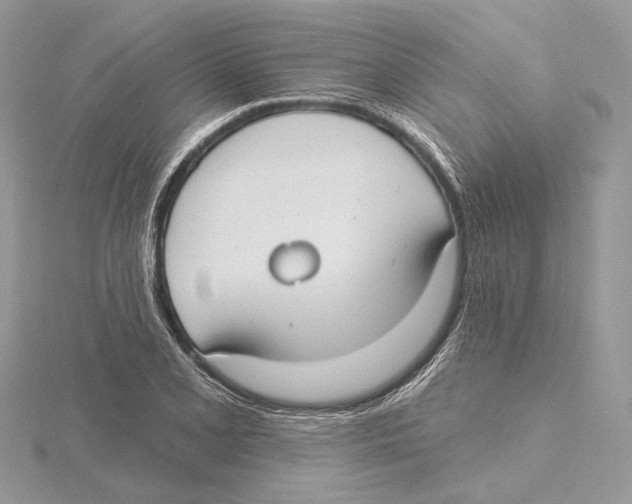 X0000115551077200912041027