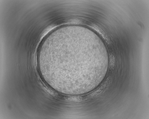 X0000115551078200912041027