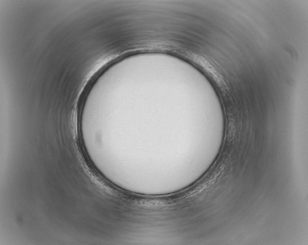 X0000115551079200912041027