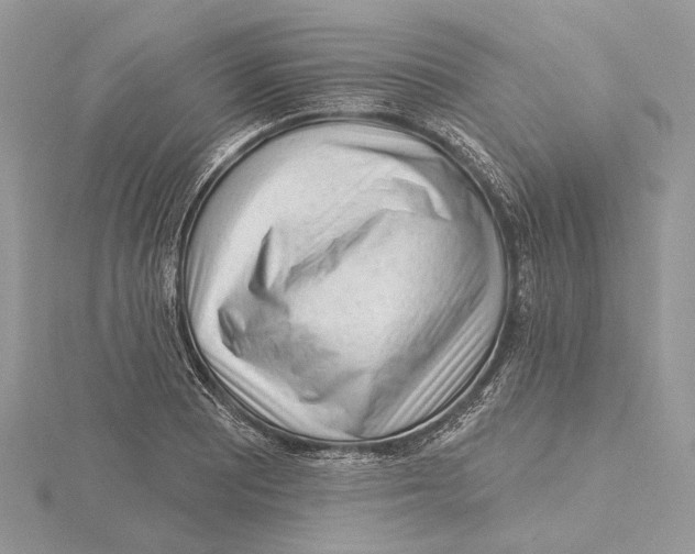 X0000115551081200912041027