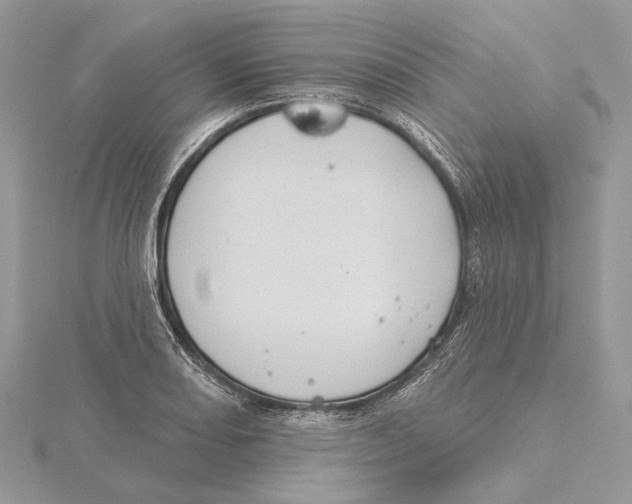 X0000115551082200912041027