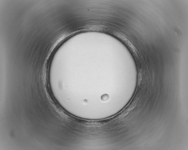 X0000115551083200912041027