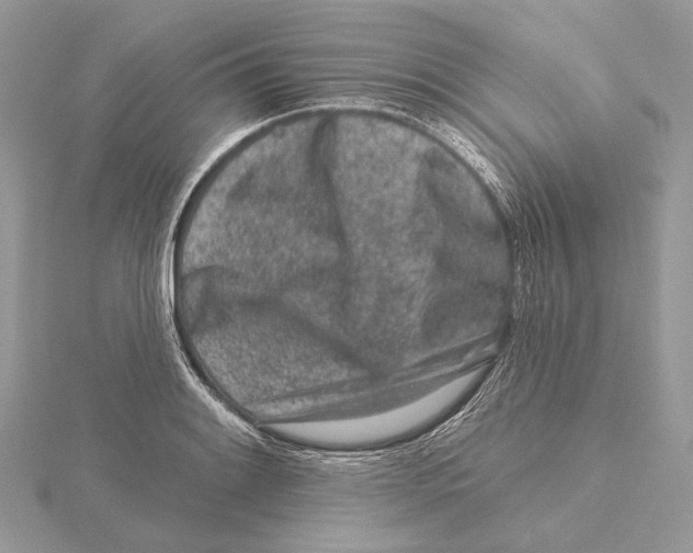 X0000115551084200912041027