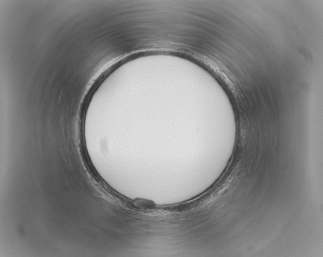 X0000115551085200912041027