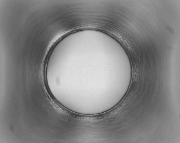 X0000115551086200912041027