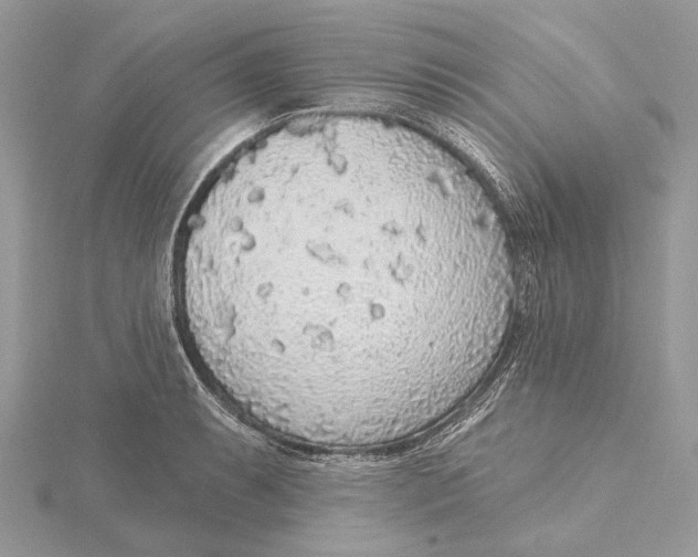 X0000115551087200912041027