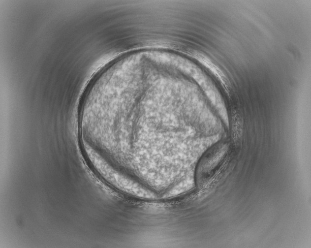 X0000115551088200912041027