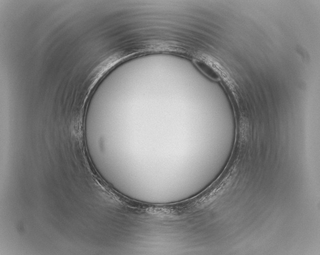 X0000115551089200912041027