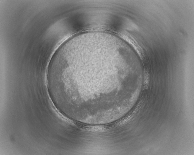 X0000115551090200912041027