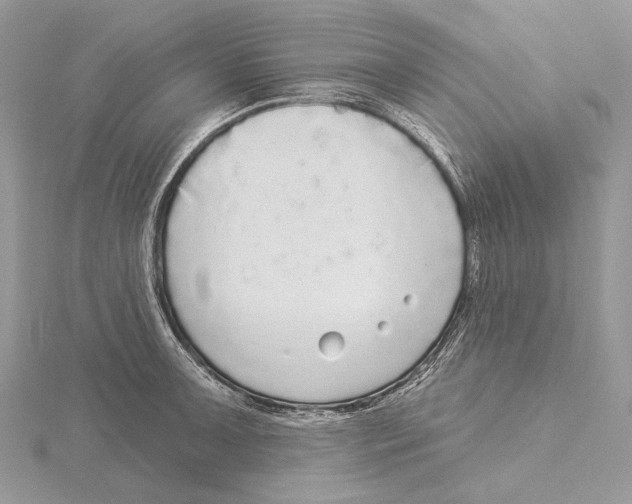 X0000115551091200912041027