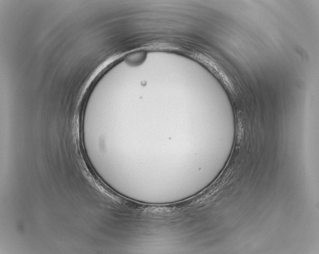 X0000115551092200912041027