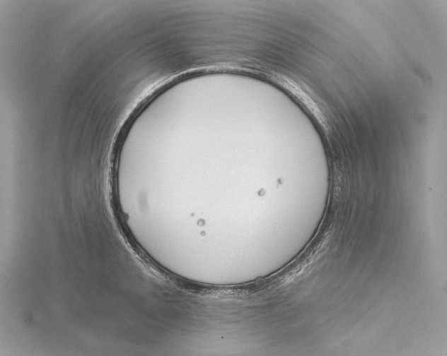 X0000115551093200912041027