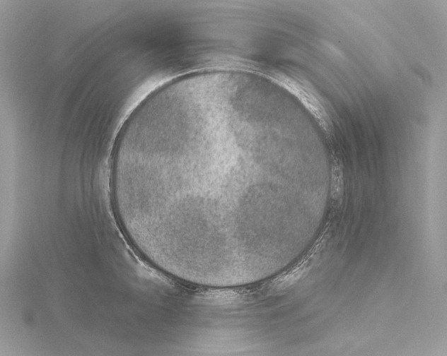 X0000115551094200912041027