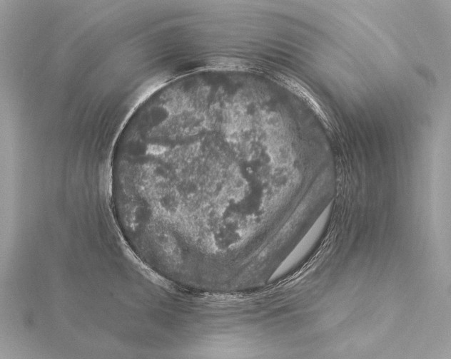 X0000115551095200912041027