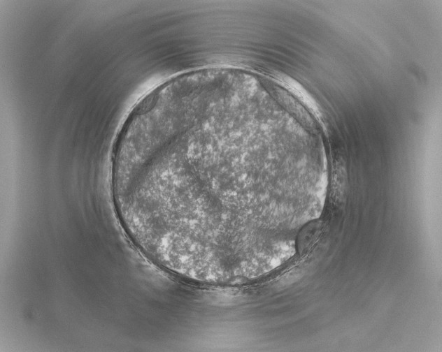 X0000115551096200912041027