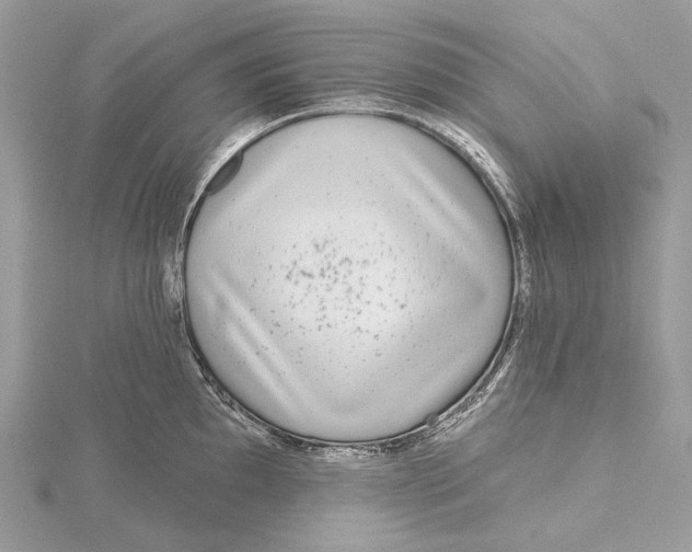 X0000115551097200912041027