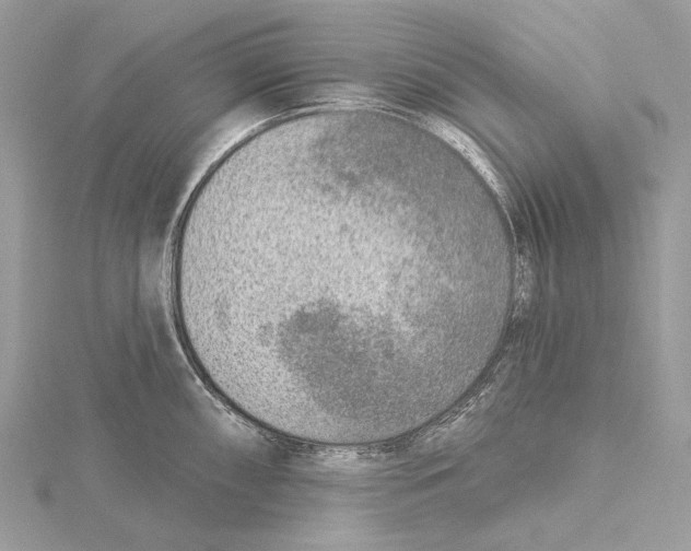 X0000115551098200912041027