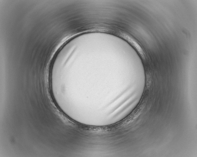 X0000115551099200912041027