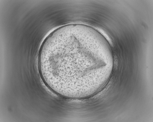 X0000115551100200912041027