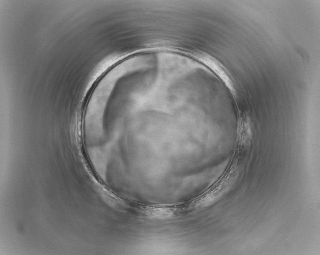 X0000115551101200912041027