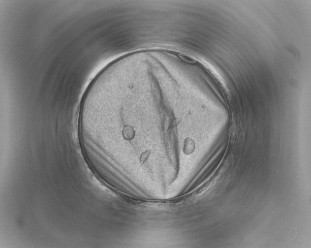 X0000115551102200912041027