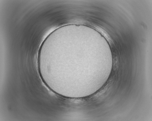 X0000115551103200912041027