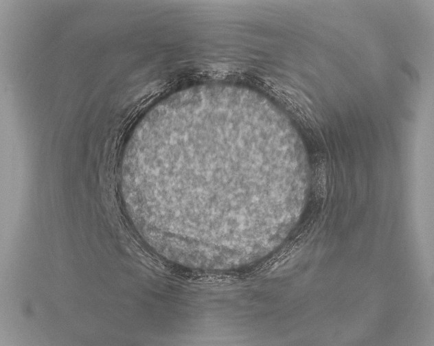 X0000115551105200912041026