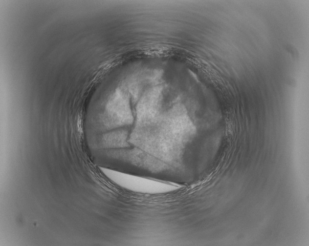 X0000115551106200912041026