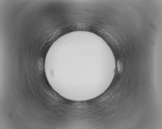 X0000115551107200912041026