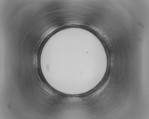 X0000115551113200912041026