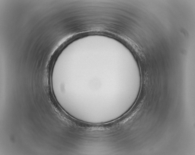 X0000115551118200912041026