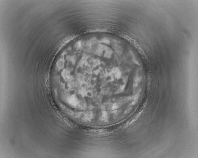 X0000115551121200912041026