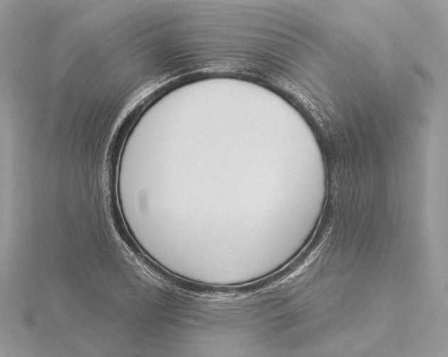 X0000115551122200912041026