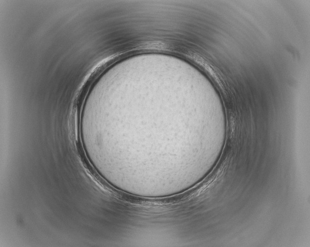 X0000115551123200912041026